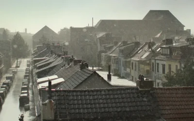 Video: Heinrich Böll Stiftung